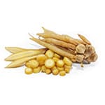 Ginseng-Wurzelextrakt - stimuliert die Haarwurzeln und fördert Haarwachstum