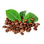 Koffein - unterstützt die Durchblutung der Kopfhaut und regt das Haarwachstum an