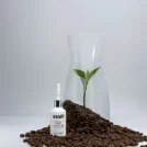 Inoiv Hair - Pure Caffeine, Haarkur, Haarwuchsmittel, Haarwuchs fördern, Koffein für die Haare, Koffein Kur,